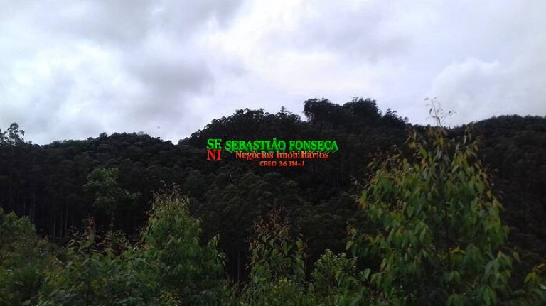 Imagem Chácara à Venda, 30.000 m² em Centro - Monteiro Lobato Imagem Chácara à Venda, 30.000 m² em Centro - Monteiro Lobato