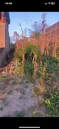 Imagem Terreno à Venda, 260 m² em Sitio Santo Antonio Dos Fernandes - Meruoca