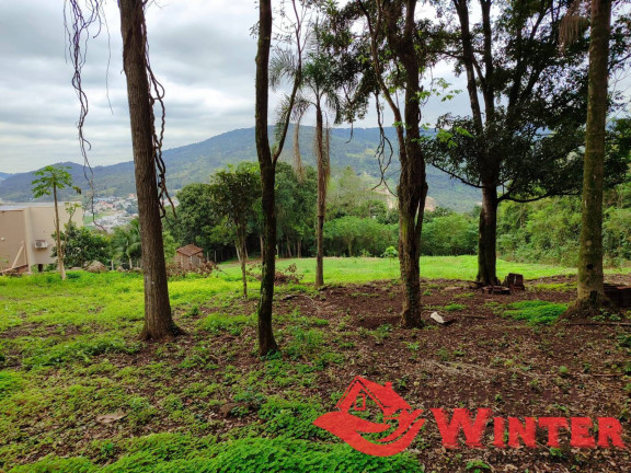 Imagem Terreno à Venda, 3 m² em Morro Das Batatas - Feliz Imagem Terreno à Venda, 3 m² em Morro Das Batatas - Feliz