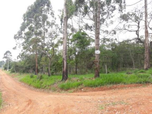 Imagem Terreno à Venda, 5.643 m² em Paruru - Ibiúna Imagem Terreno à Venda, 5.643 m² em Paruru - Ibiúna