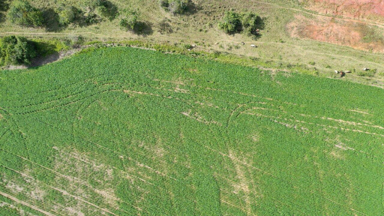 Imagem Fazenda à Venda, 390.000 m² em Santa Cruz De Goiás