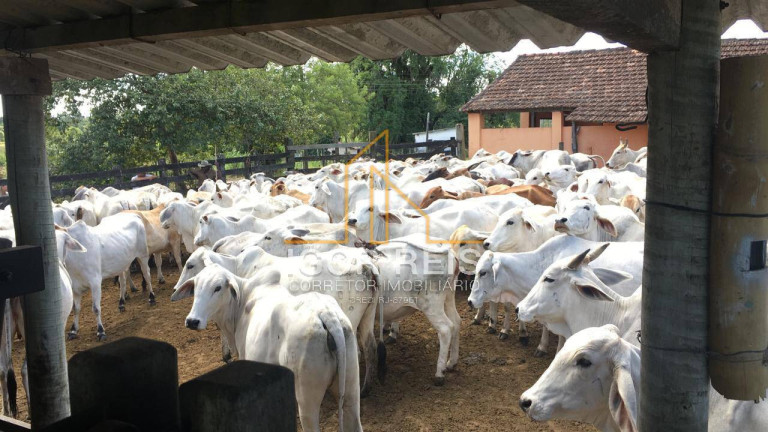 Imagem Fazenda à Venda, 244 m² em Araruama Imagem Fazenda à Venda, 244 m² em Araruama
