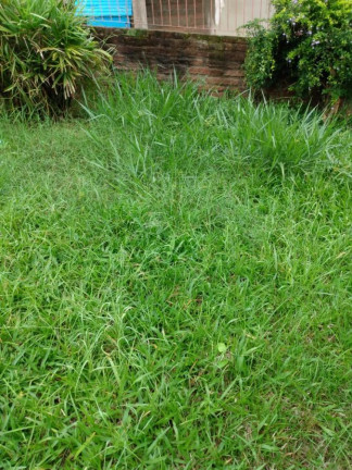 Imagem Terreno à Venda, em Arroio Da Manteiga - São Leopoldo Imagem Terreno à Venda, em Arroio Da Manteiga - São Leopoldo
