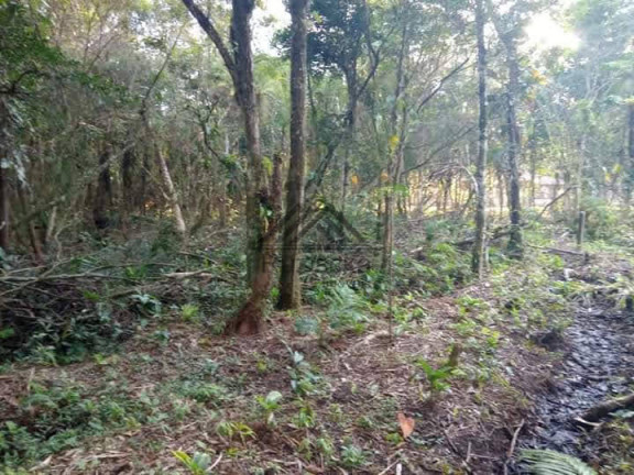 Chácara à Venda, 1.250 m² em Jardim Aguapeú - Itanhaém