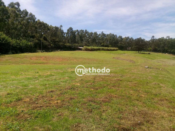 Imagem Terreno à Venda, 23.300 m² em Jardim Martinelli (sousas) - Campinas