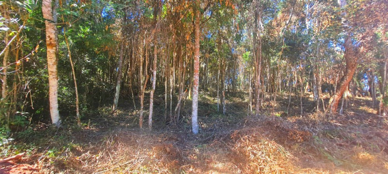 Imagem Imóvel à Venda, 700 m² em Recanto Dos Palmares - Atibaia Imagem Imóvel à Venda, 700 m² em Recanto Dos Palmares - Atibaia