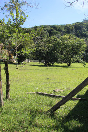 Imagem Chácara à Venda, 16.573 m² em Sertão Do Trombudo - Itapema Imagem Chácara à Venda, 16.573 m² em Sertão Do Trombudo - Itapema