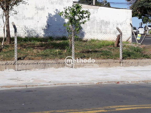 Imagem Terreno à Venda, 356 m² em Vila Mimosa - Campinas Imagem Terreno à Venda, 356 m² em Vila Mimosa - Campinas