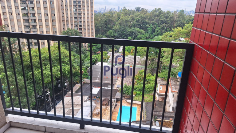Imagem Apartamento com 3 Quartos à Venda, 65 m² em Vila Indiana - São Paulo Imagem Apartamento com 3 Quartos à Venda, 65 m² em Vila Indiana - São Paulo