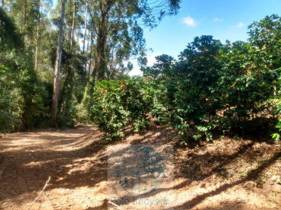 Imagem Imóvel à Venda, 4 m² em Rural - Jacuí Imagem Imóvel à Venda, 4 m² em Rural - Jacuí