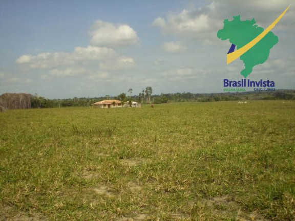 Imagem Fazenda à Venda, 12 m² em Centro - Buerarema Imagem Fazenda à Venda, 12 m² em Centro - Buerarema