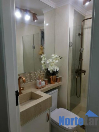 Imagem Apartamento com 3 Quartos à Venda, 68 m² em Vila Amélia - São Paulo