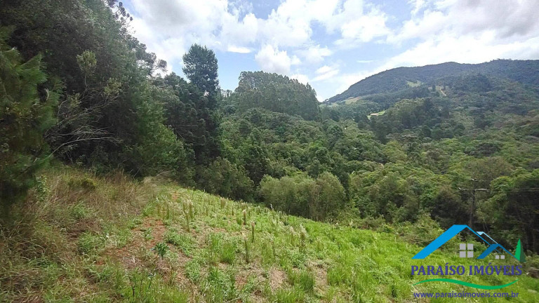 Imagem Chácara à Venda, 20 m² em Centro - Camanducaia Imagem Chácara à Venda, 20 m² em Centro - Camanducaia