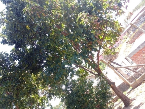 Imagem Casa com 1 Quarto à Venda, 1.000 m² em Cafezal Dois - Itupeva Imagem Casa com 1 Quarto à Venda, 1.000 m² em Cafezal Dois - Itupeva
