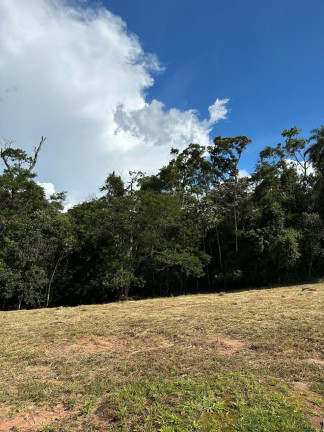 Imagem Terreno à Venda, 401 m² em Parque Dom Henrique - Cotia Imagem Terreno à Venda, 401 m² em Parque Dom Henrique - Cotia