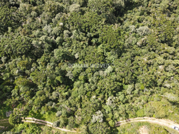 Imagem Terreno à Venda, 5.100 m² em Região Do Atalaia - Campos Do Jordão Imagem Terreno à Venda, 5.100 m² em Região Do Atalaia - Campos Do Jordão
