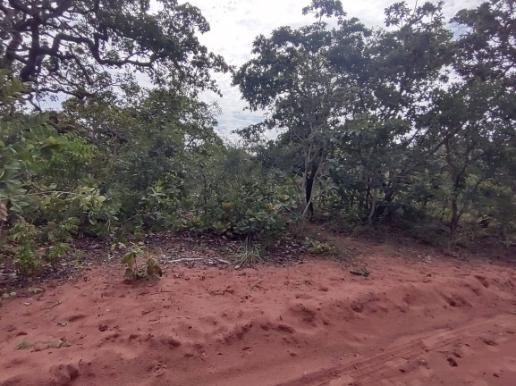 Imagem Fazenda à Venda, 75 m² em Uberlândia Imagem Fazenda à Venda, 75 m² em Uberlândia