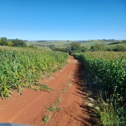 Imagem Fazenda à Venda, 14.157.000 m² em água Das Abóboras - Ibiporã Imagem Fazenda à Venda, 14.157.000 m² em água Das Abóboras - Ibiporã