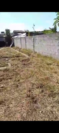Imagem Terreno à Venda, 280 m² em Jussara - Mongaguá Imagem Terreno à Venda, 280 m² em Jussara - Mongaguá