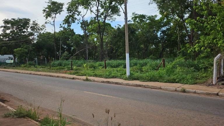 Terreno à Venda, 20.000 m² em Pedra 90 - Cuiabá