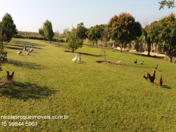 Imagem Imóvel com 10 Quartos à Venda, 22.000 m² em Pinhal - Boituva Imagem Imóvel com 10 Quartos à Venda, 22.000 m² em Pinhal - Boituva