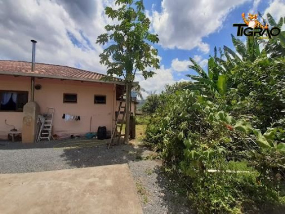 Imagem Chácara com 4 Quartos à Venda, 300.000 m² em Ilhota - Ilhota Imagem Chácara com 4 Quartos à Venda, 300.000 m² em Ilhota - Ilhota