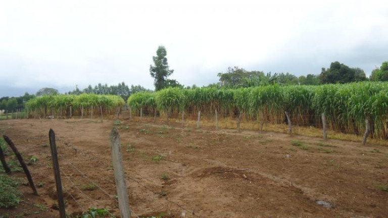 Imagem Fazenda à Venda, 60 m² em Azurita - Mateus Leme Imagem Fazenda à Venda, 60 m² em Azurita - Mateus Leme