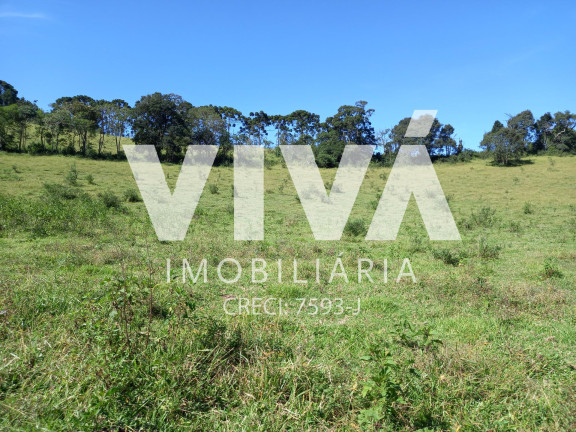 Imagem Fazenda à Venda, 338.800 m² em Rural - Pedra Bela Imagem Fazenda à Venda, 338.800 m² em Rural - Pedra Bela