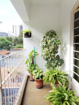 Imagem Casa com 3 Quartos à Venda, 400 m² em Vila Anglo Brasileira - São Paulo Imagem Casa com 3 Quartos à Venda, 400 m² em Vila Anglo Brasileira - São Paulo