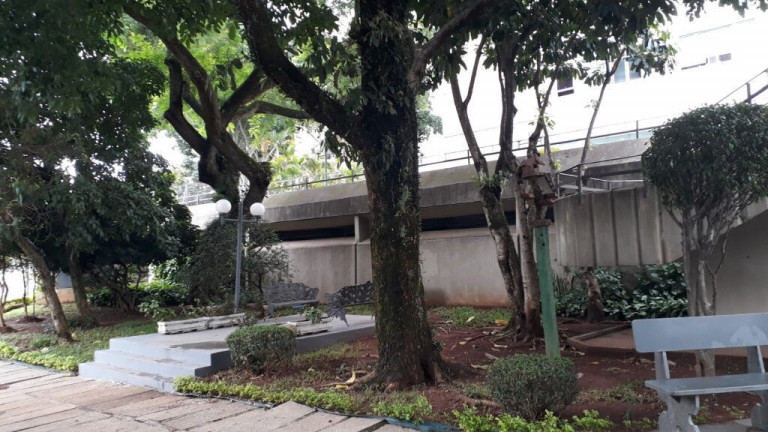 Imagem Apartamento com 3 Quartos para Alugar, 84 m² em Jardim Independência - São Paulo Imagem Apartamento com 3 Quartos para Alugar, 84 m² em Jardim Independência - São Paulo