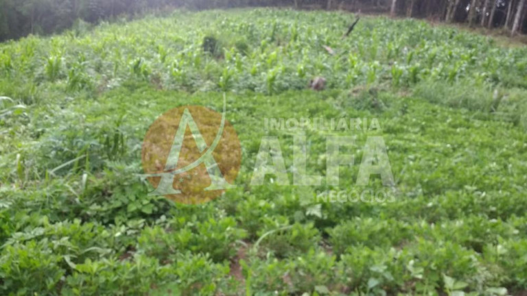 Imagem Terreno à Venda, 31.000 m² em Buru - Salto