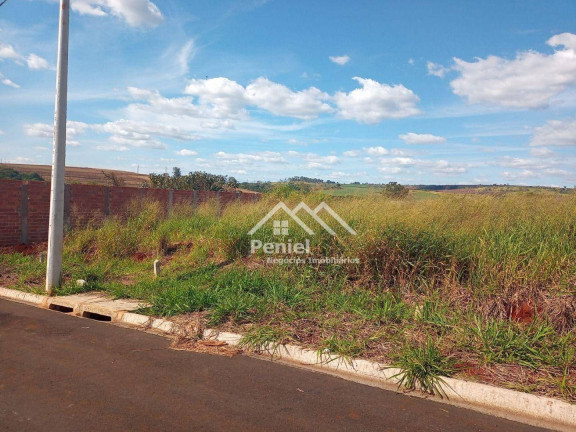 Imagem Terreno à Venda, 253 m² em Belvedere Residencial - Ribeirão Preto Imagem Terreno à Venda, 253 m² em Belvedere Residencial - Ribeirão Preto