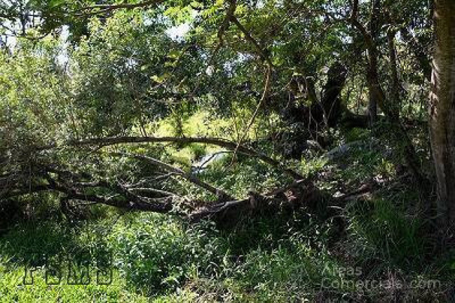 Imagem Chácara à Venda, 1.450.000 m² em Centro - Indaiatuba Imagem Chácara à Venda, 1.450.000 m² em Centro - Indaiatuba