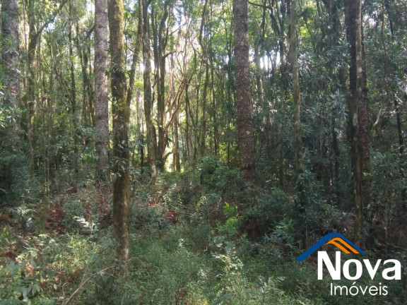 Imagem Imóvel à Venda, em Nove Colônias - Nova Petrópolis Imagem Imóvel à Venda, em Nove Colônias - Nova Petrópolis
