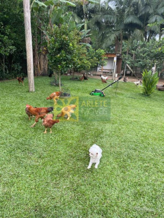 Imagem Imóvel com 2 Quartos à Venda, 120 m² em Sertão Do Trombudo - Itapema Imagem Imóvel com 2 Quartos à Venda, 120 m² em Sertão Do Trombudo - Itapema