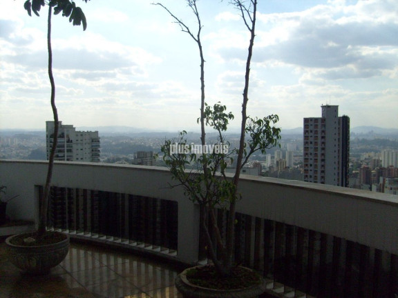 Imagem Apartamento com 4 Quartos à Venda, 630 m² em Morumbi - São Paulo Imagem Apartamento com 4 Quartos à Venda, 630 m² em Morumbi - São Paulo