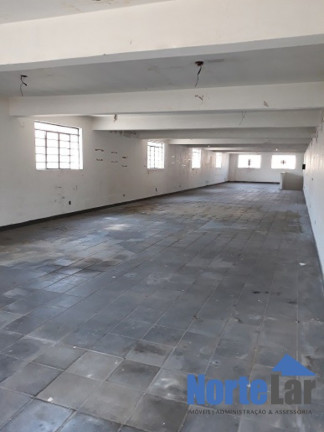 Imagem Imóvel Comercial para Alugar, 872 m² em Vila Palmeiras - São Paulo Imagem Imóvel Comercial para Alugar, 872 m² em Vila Palmeiras - São Paulo