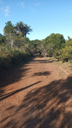 Imagem Chácara à Venda, 2 m² em Tibina - Uruçuca Imagem Chácara à Venda, 2 m² em Tibina - Uruçuca