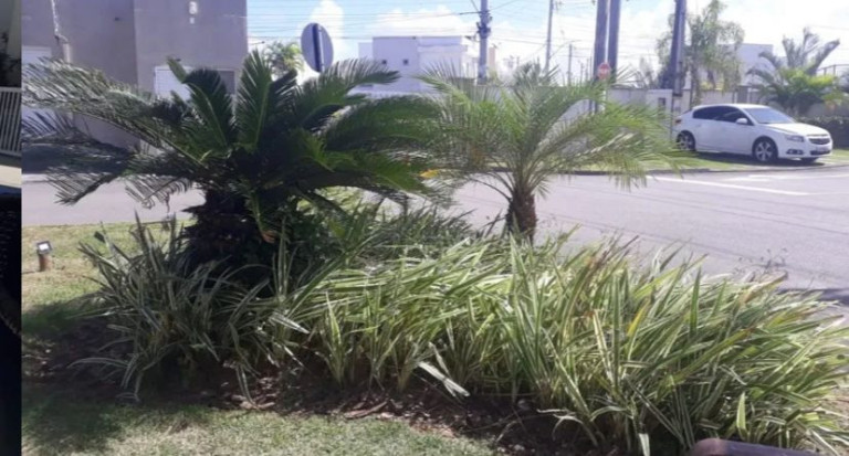 Imagem Apartamento com 2 Quartos à Venda, 48 m² em Boa Uniao - Camaçari