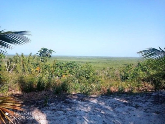 Imagem Fazenda à Venda, 400.000 m² em Ilha De Atalaia - Canavieiras Imagem Fazenda à Venda, 400.000 m² em Ilha De Atalaia - Canavieiras