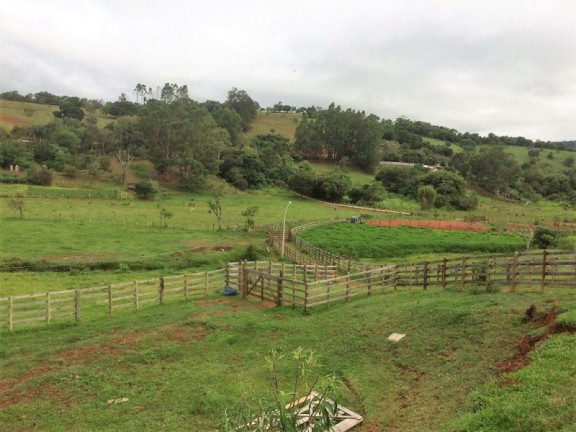Imagem Imóvel com 3 Quartos à Venda, 448.000 m² em Roseta - Cambuí Imagem Imóvel com 3 Quartos à Venda, 448.000 m² em Roseta - Cambuí