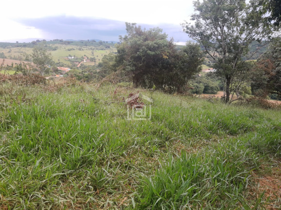 Imóvel à Venda, 1 m² em Conceição (rural) - Palmeiral