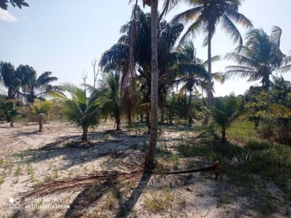 Imagem Fazenda à Venda, 400.000 m² em Ilha De Atalaia - Canavieiras Imagem Fazenda à Venda, 400.000 m² em Ilha De Atalaia - Canavieiras