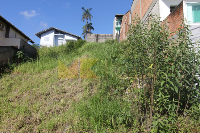 Imagem Imóvel à Venda, 454 m² em Velha - Blumenau