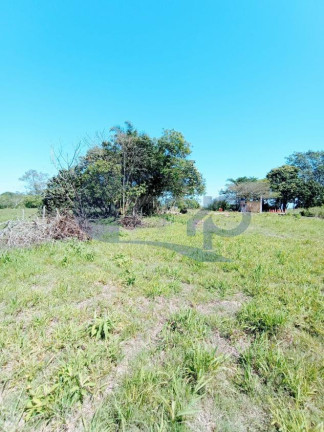 Imagem Chácara à Venda, 4.800 m² em Curralinhos - Passo De Torres Imagem Chácara à Venda, 4.800 m² em Curralinhos - Passo De Torres
