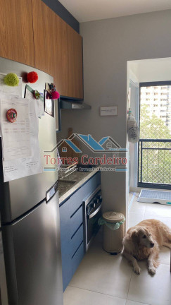 Imagem Apartamento com 1 Quarto à Venda, 38 m² em Vila Suzana - São Paulo Imagem Apartamento com 1 Quarto à Venda, 38 m² em Vila Suzana - São Paulo