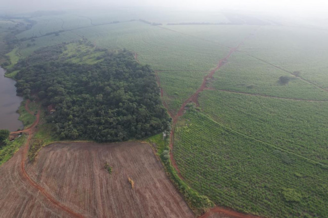 Imagem Fazenda à Venda, 53 m² em Zona Rural - Ipauçu Imagem Fazenda à Venda, 53 m² em Zona Rural - Ipauçu