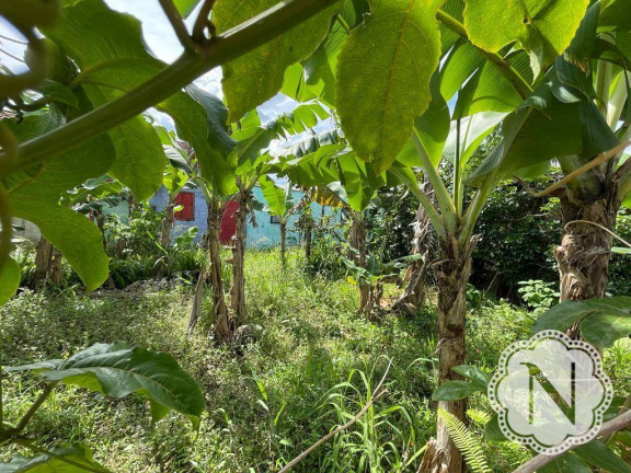 Imagem Terreno à Venda, 250 m² em Bopiranga - Itanhaém Imagem Terreno à Venda, 250 m² em Bopiranga - Itanhaém