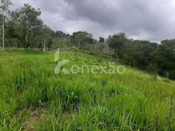Imagem Fazenda à Venda, 600 m² em Cedro - Paraibuna Imagem Fazenda à Venda, 600 m² em Cedro - Paraibuna