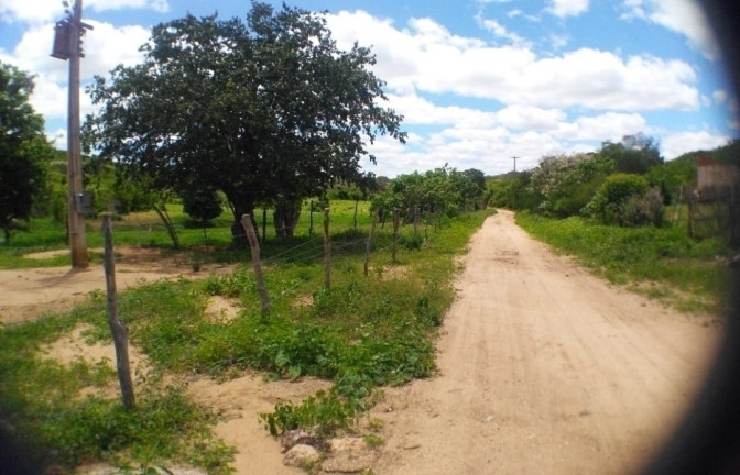 Imagem Terreno à Venda, 84 m² em Carapotos - Caruaru Imagem Terreno à Venda, 84 m² em Carapotos - Caruaru